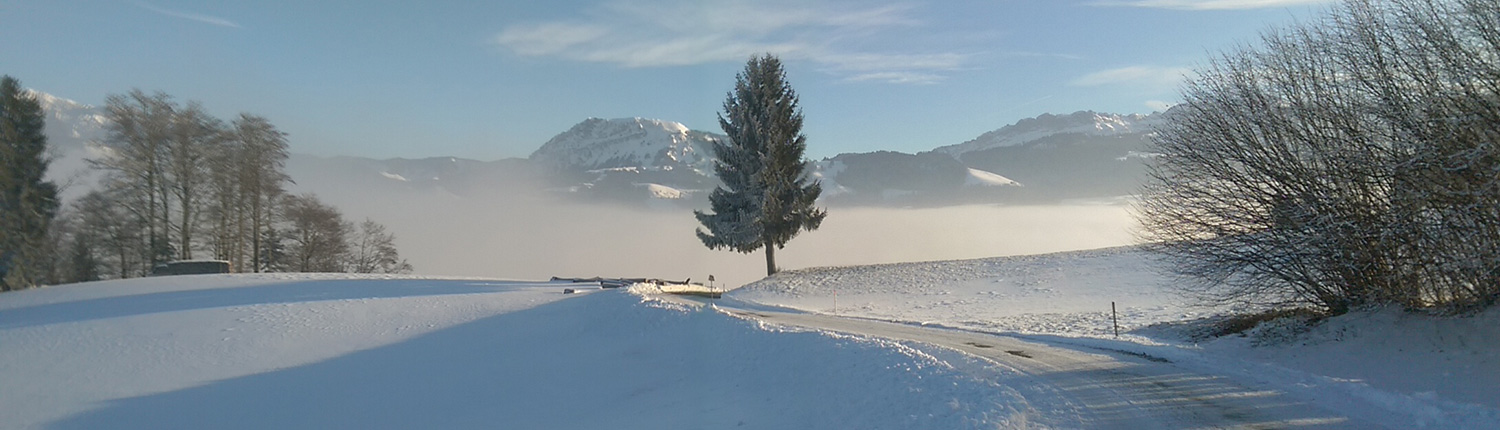 Bestattungen Stalder Produkte